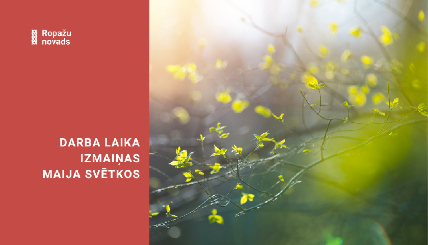 Izmaiņas darba laikā, bildē plaukst 