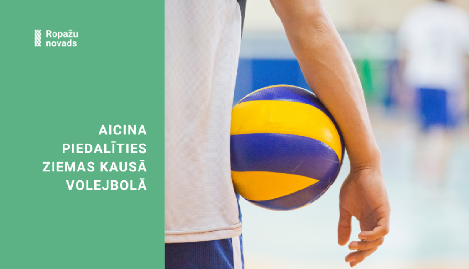 Ziemas kauss volejbolā