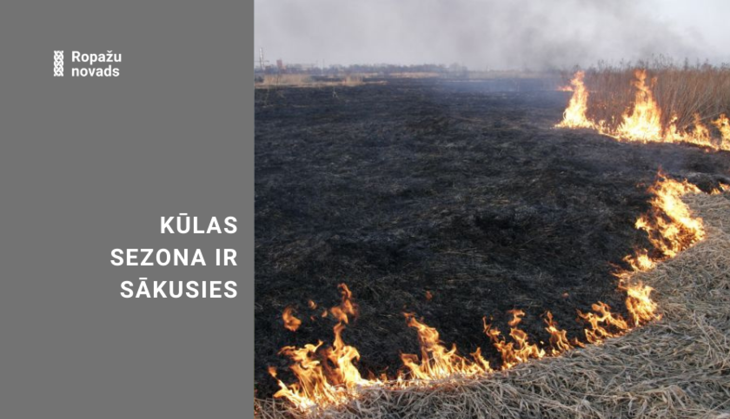 Kūlas dedzināšana