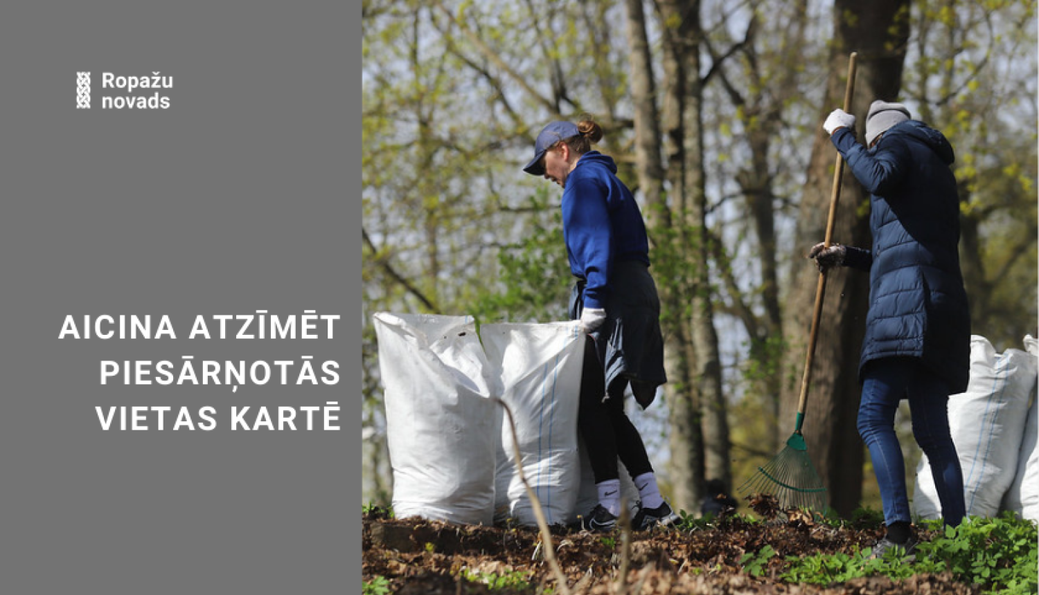 Liela Talka aicina pieteikties vietas, bildē talkotāji mežā ar maisiem