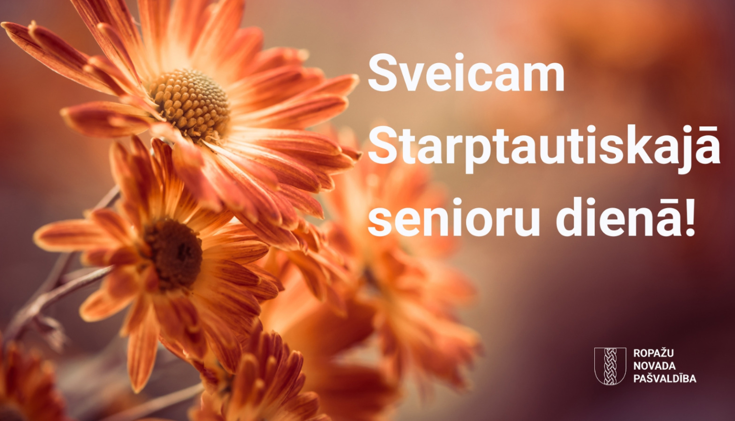 Sveicam Starptautiskajā senioru dienā