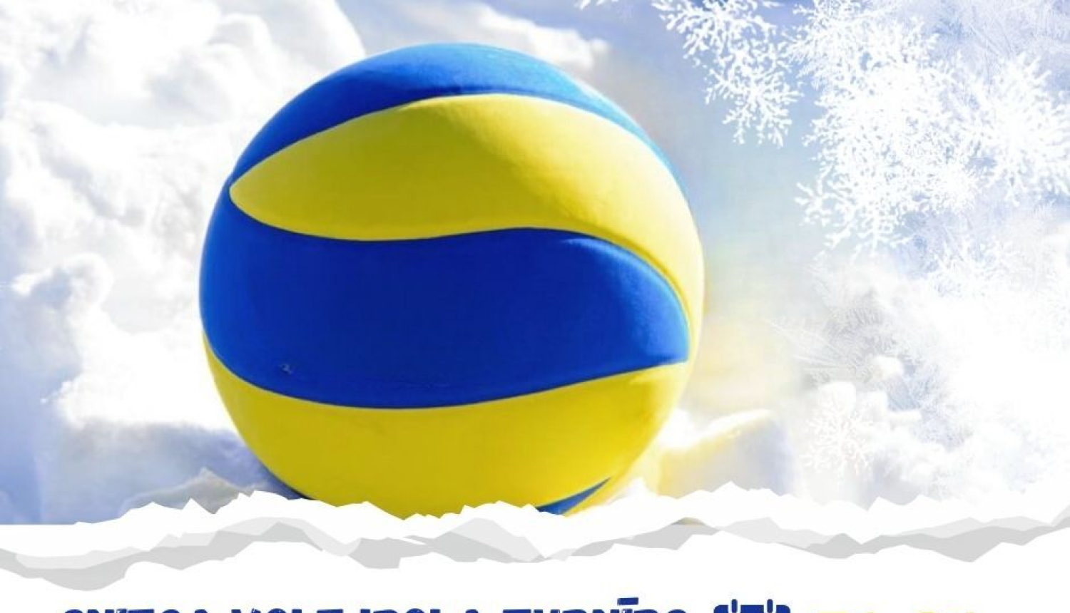 Ziemas volejbols