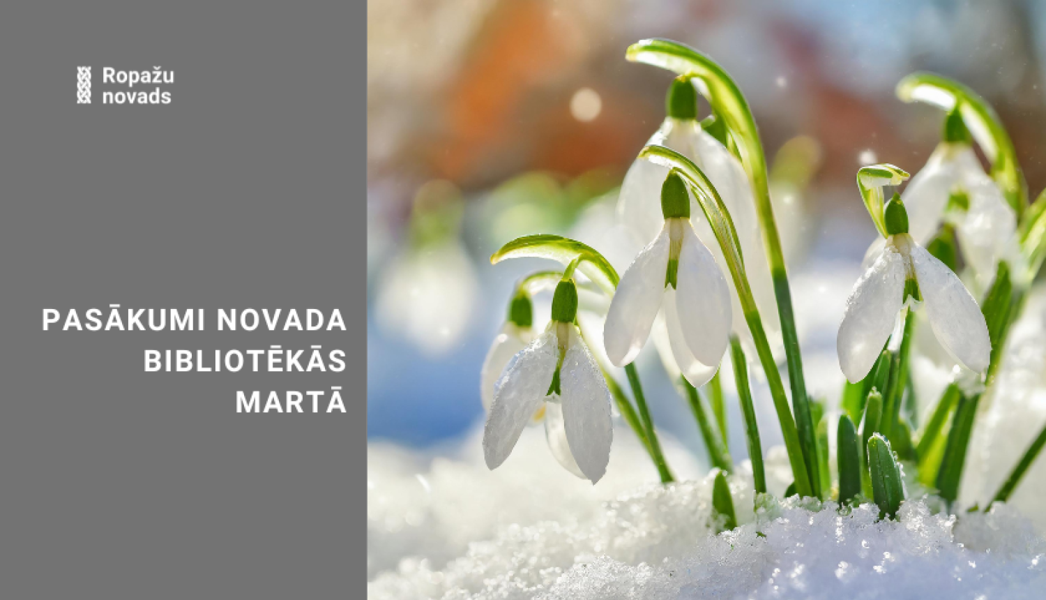 bibliotēku pasākumi martā, afiša