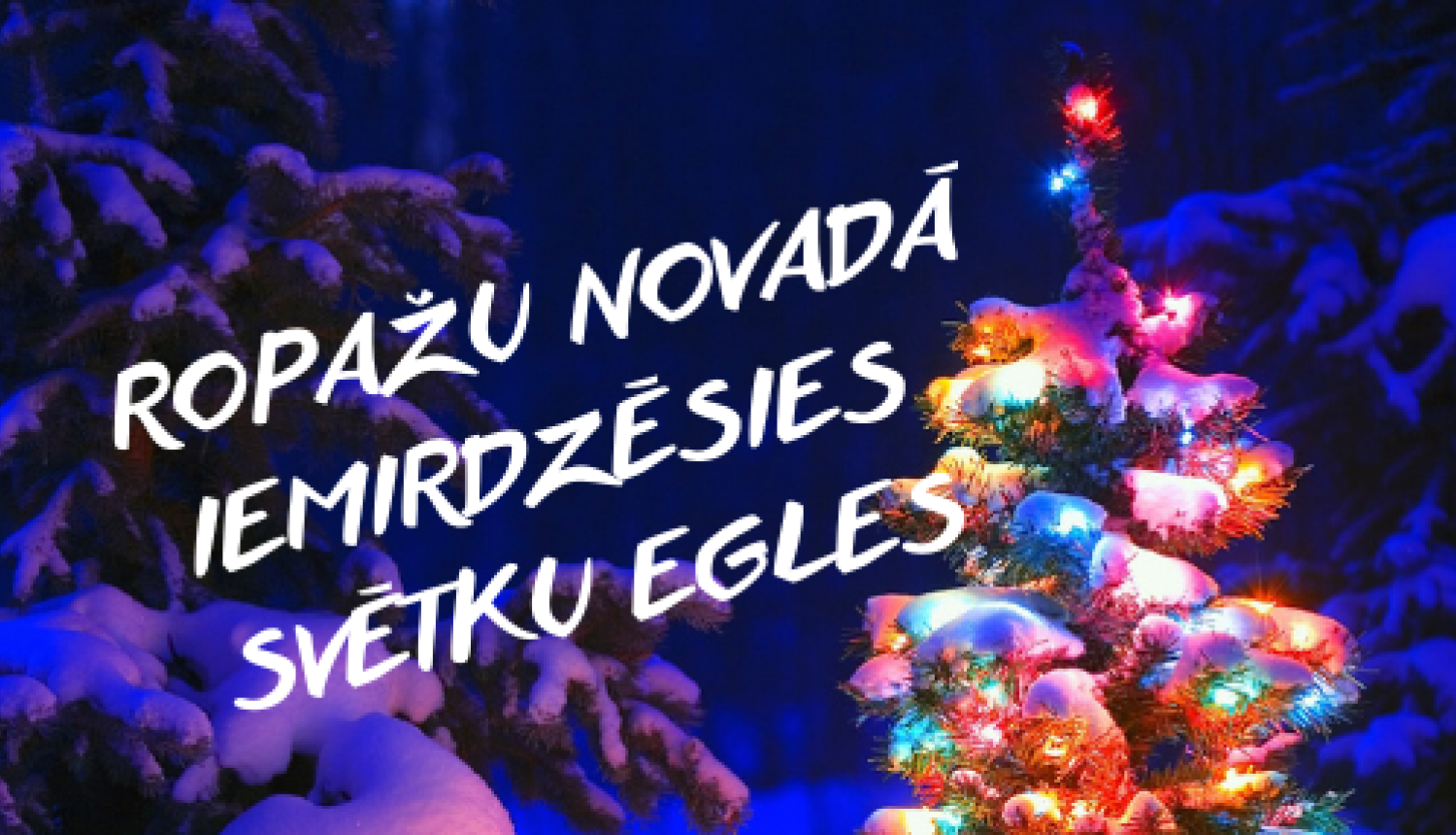 Svētku egles iedegšana