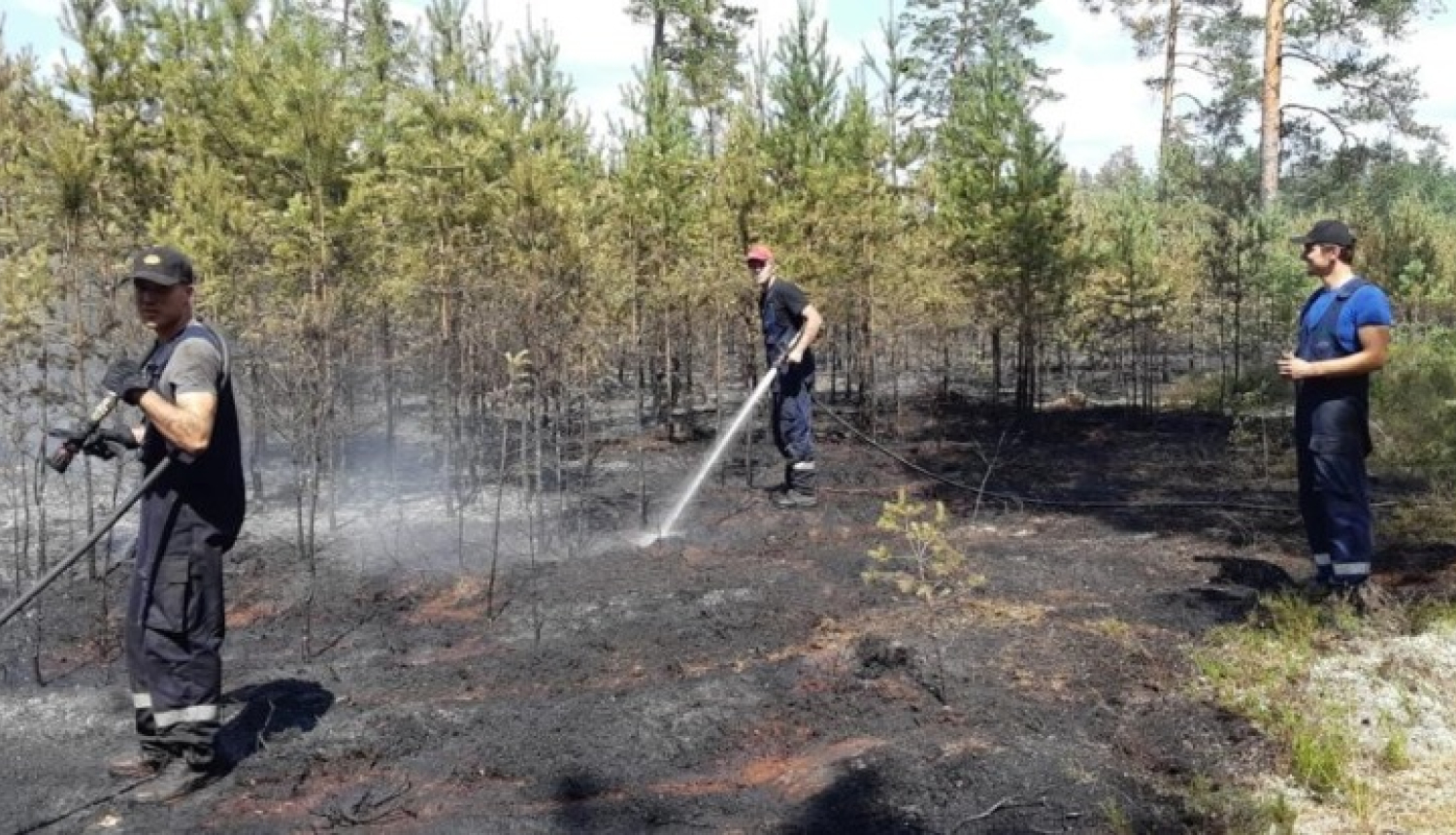 Rīgas Mežos šovasar dzēsti 47 ugunsgrēki; postošākais no tiem – Garkalnes ugunsgrēks