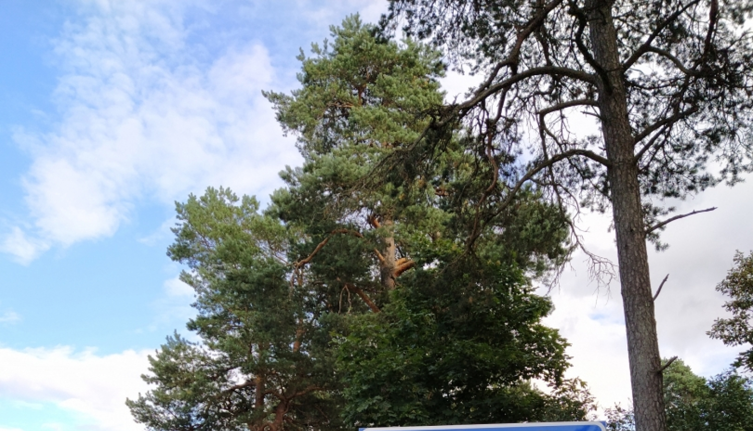 Ropažu novads, Dreiliņi