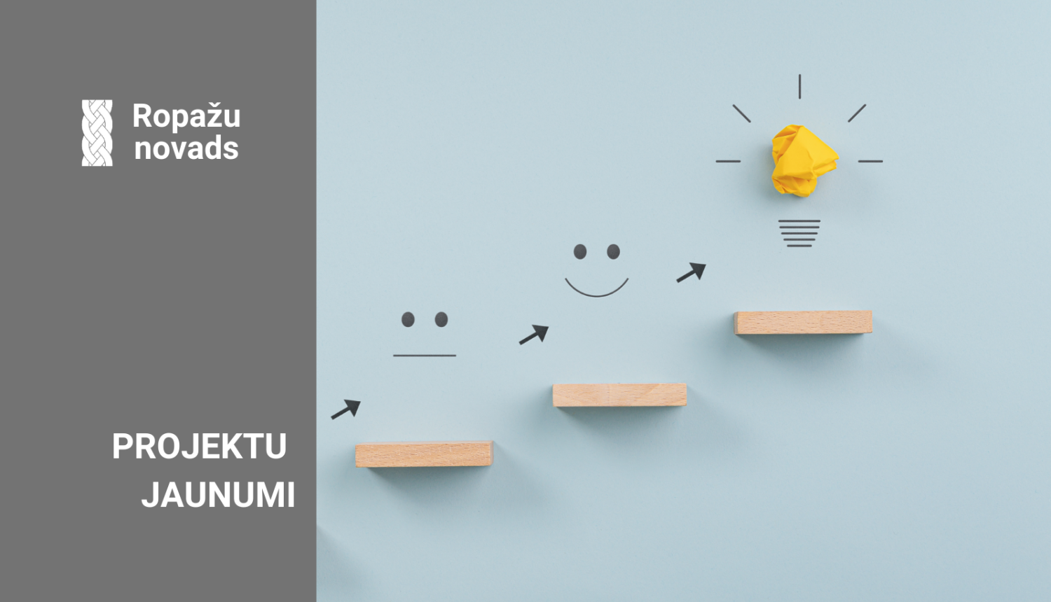 Reemigrācijas projekts