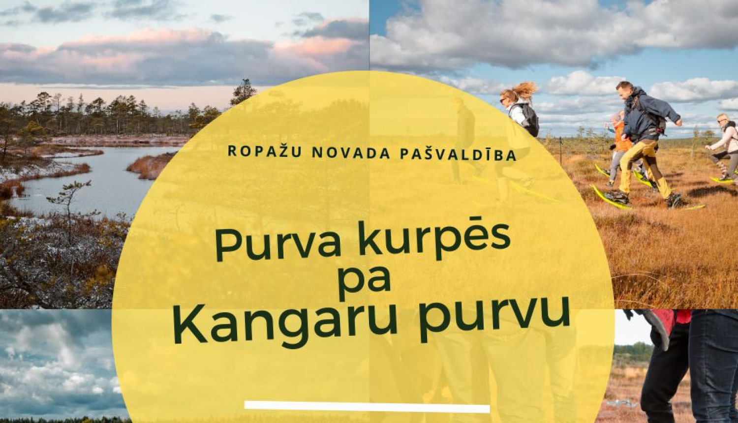 11.decembrī plkst.11.00 sadarbībā ar Purvu bridējiem rīkosim pārgājienu Kangaru purvā