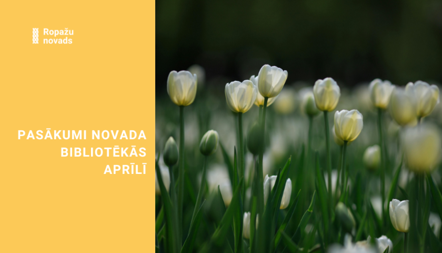 pasākumi bibliotēkās aprīlī, bildē sīkziedu tuples puķu dobē