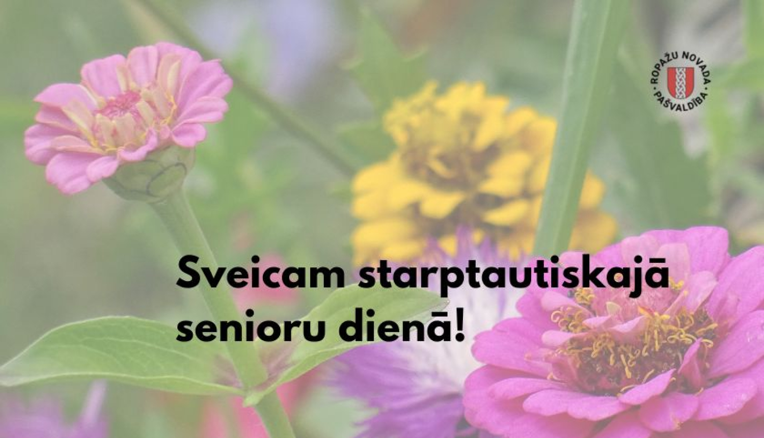 Sveicam senioru dienā