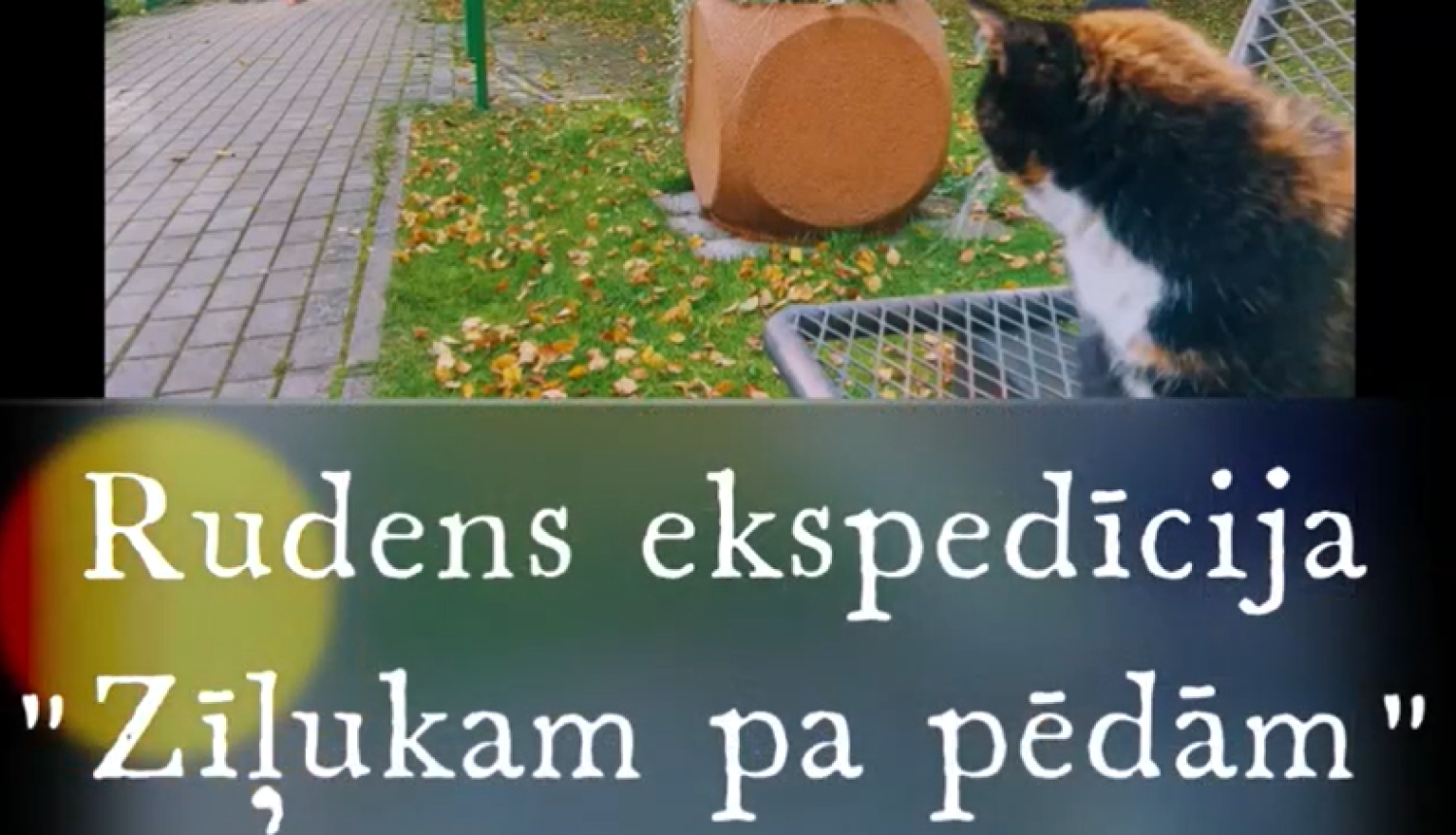 Vangažu pilsētas bibliotēkas rudens ekspedīcija “Zīļukam pa pēdām”