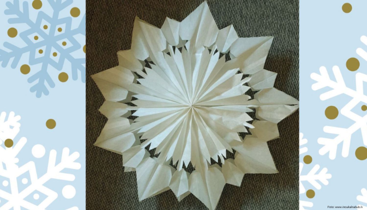 Ziemassvētku zvaigznes Zaķumuižā