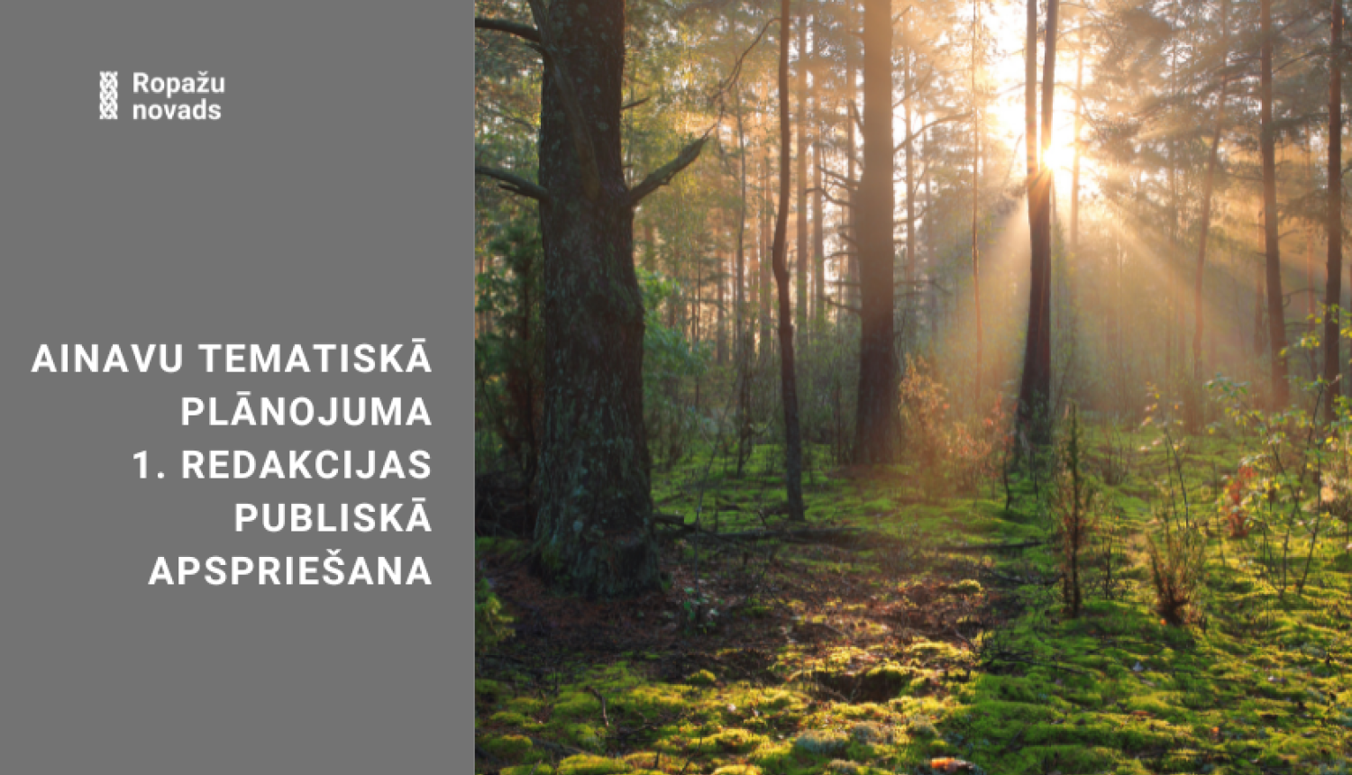 Publiskā apspriešana, ainavu plānojums