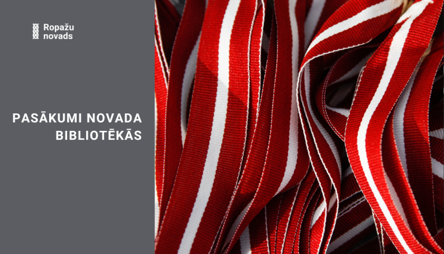 Bibliotēkas novembrī