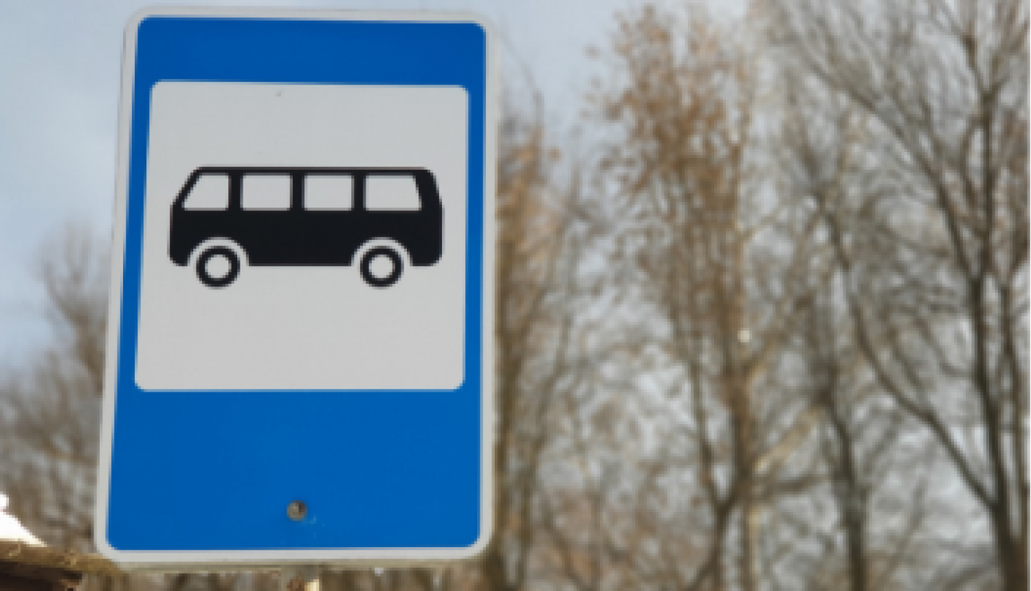 autobusa pietura