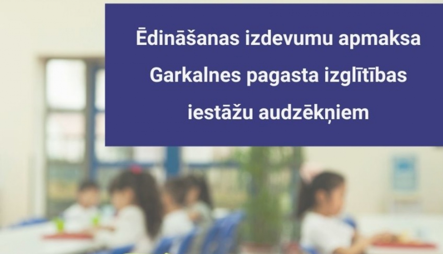 Par ēdināšanas izdevumu apmaksu Ropažu novada pašvaldības Garkalnes pagasta izglītības iestādēs