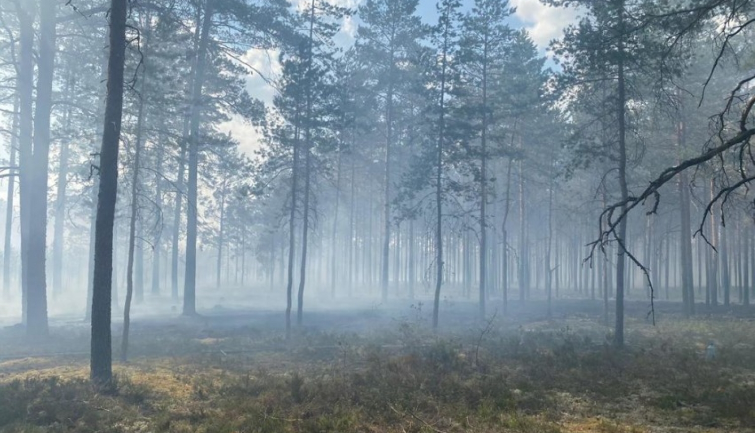 Aicinām iedzīvotājus neuzturēties mežā paaugstinātas ugunsbīstamības laikā