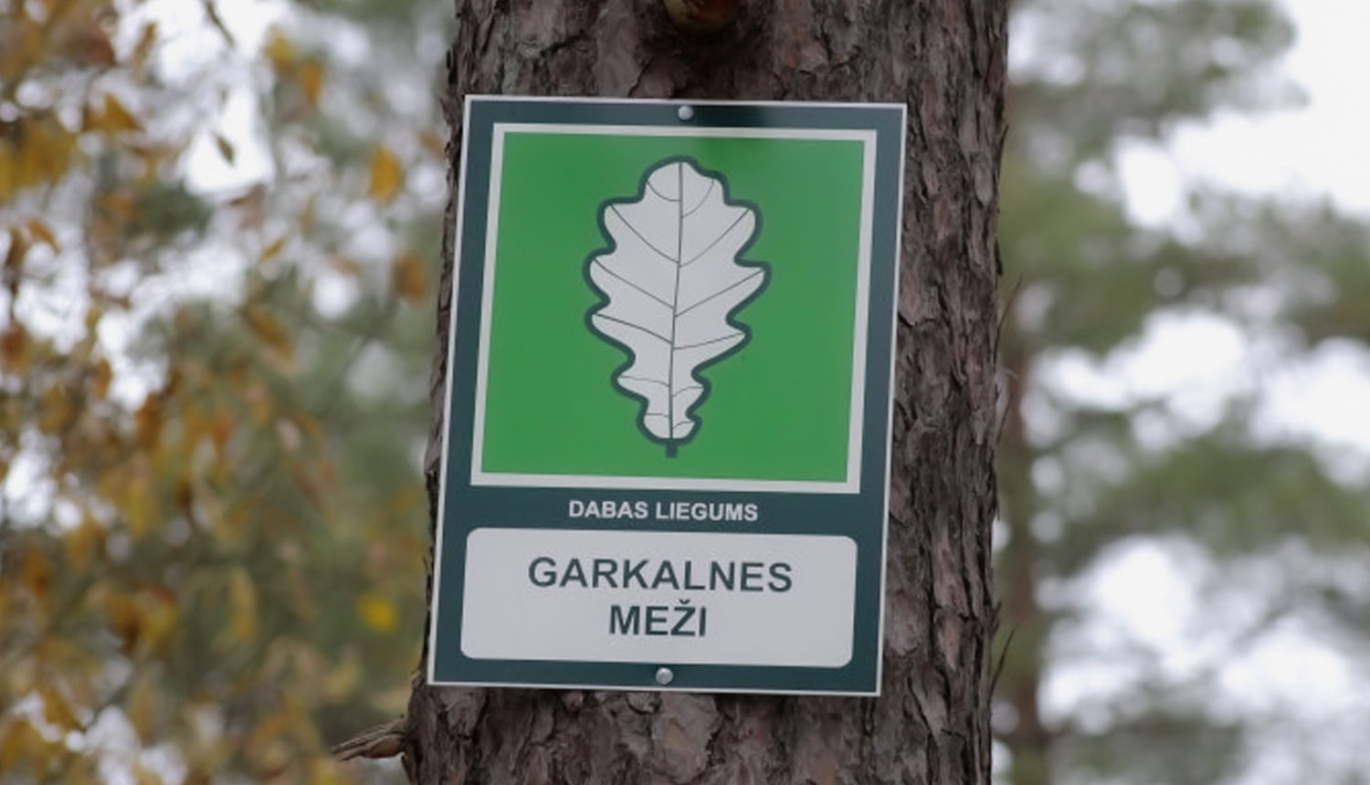 Jauni dabas aizsardzības noteikumu dabas liegumā Garkalnes meži