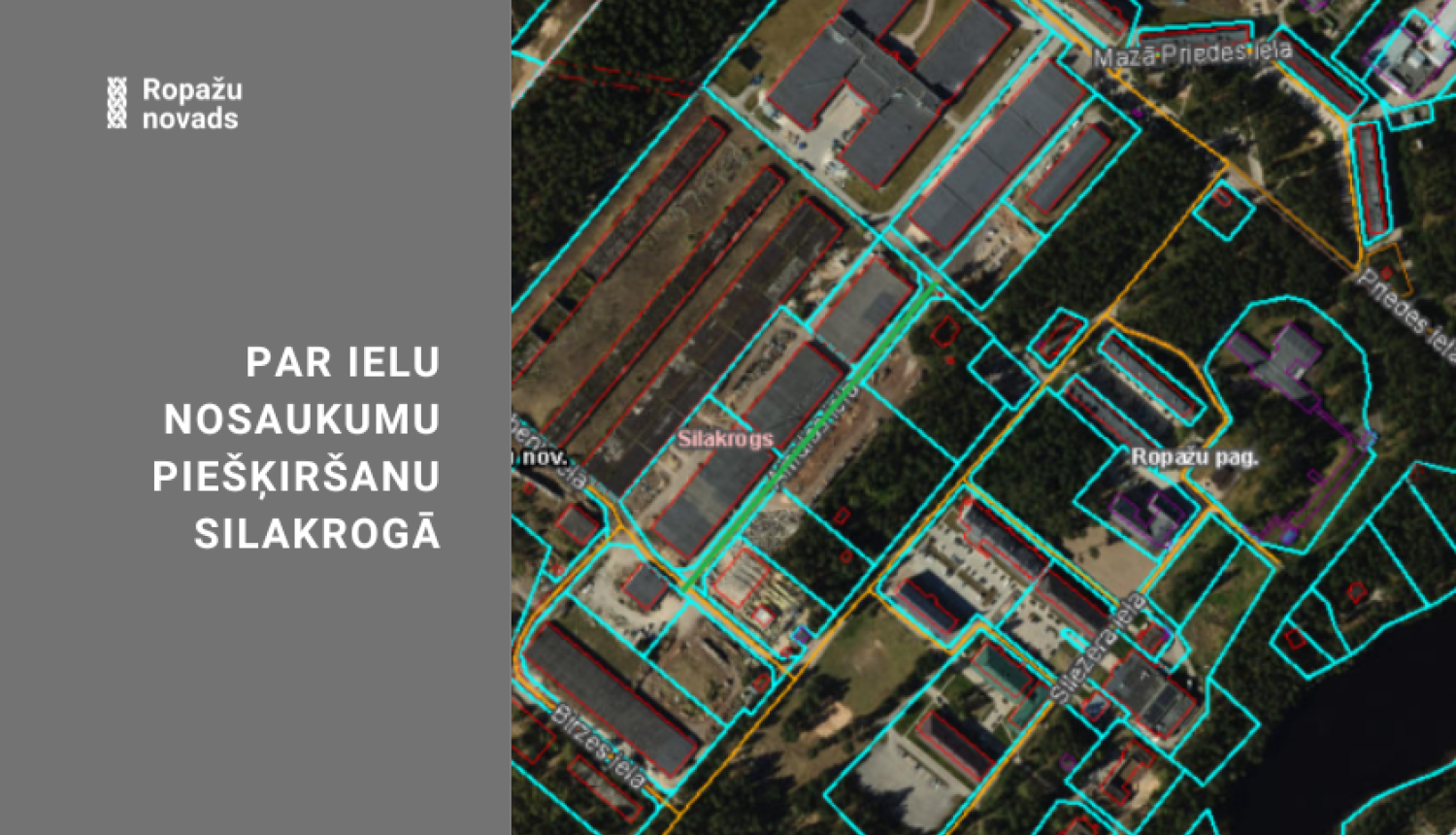 par ielu nosaukumu piešķiršanu Silakrogā