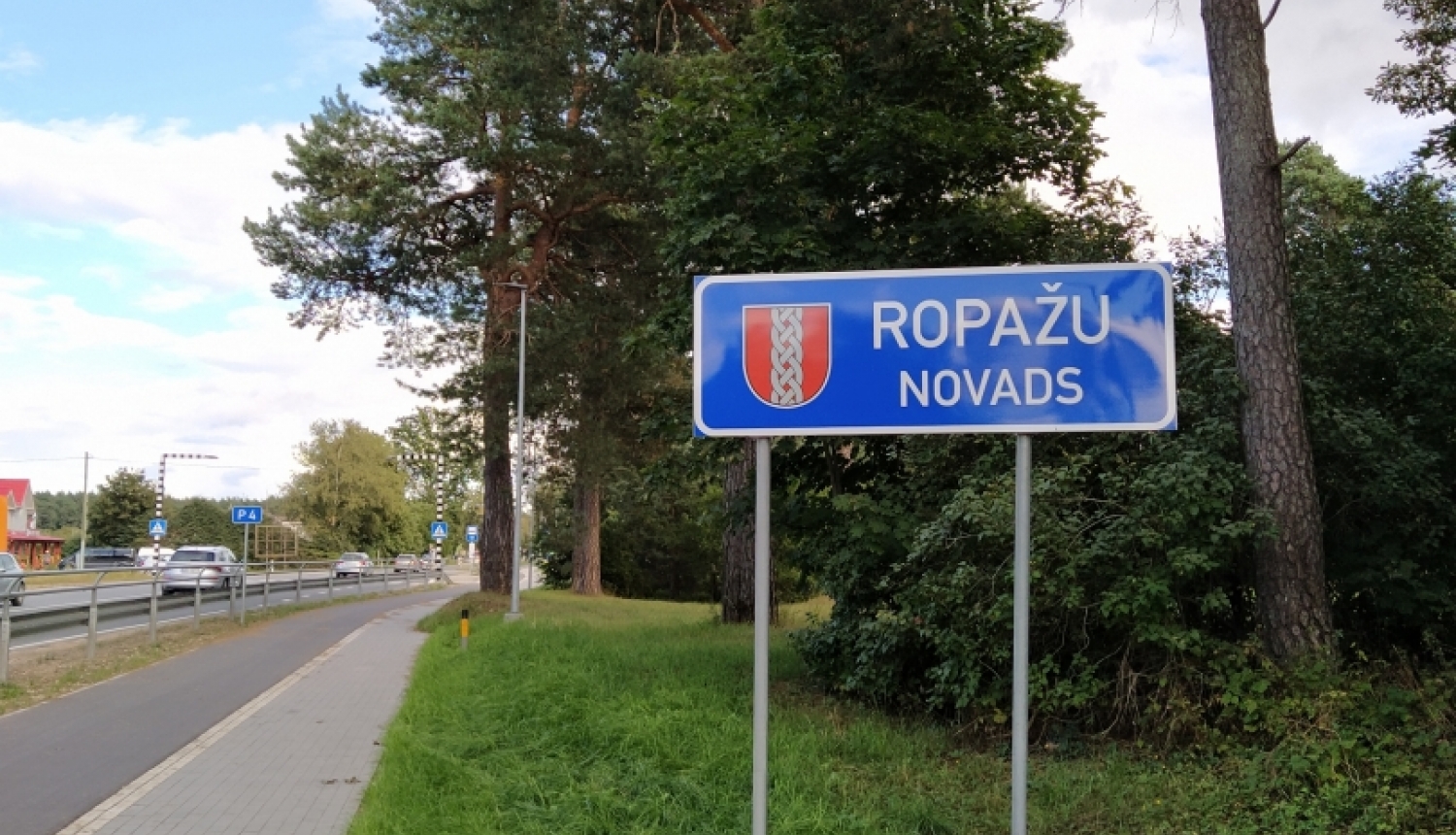 Ropažu novads, Dreiliņi