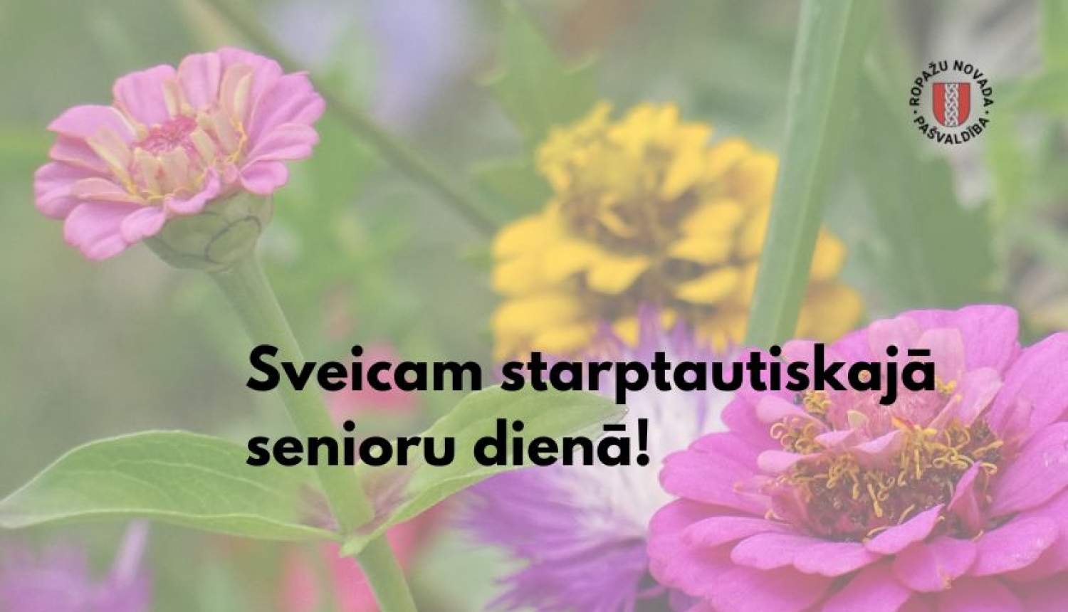 Sveicam senioru dienā