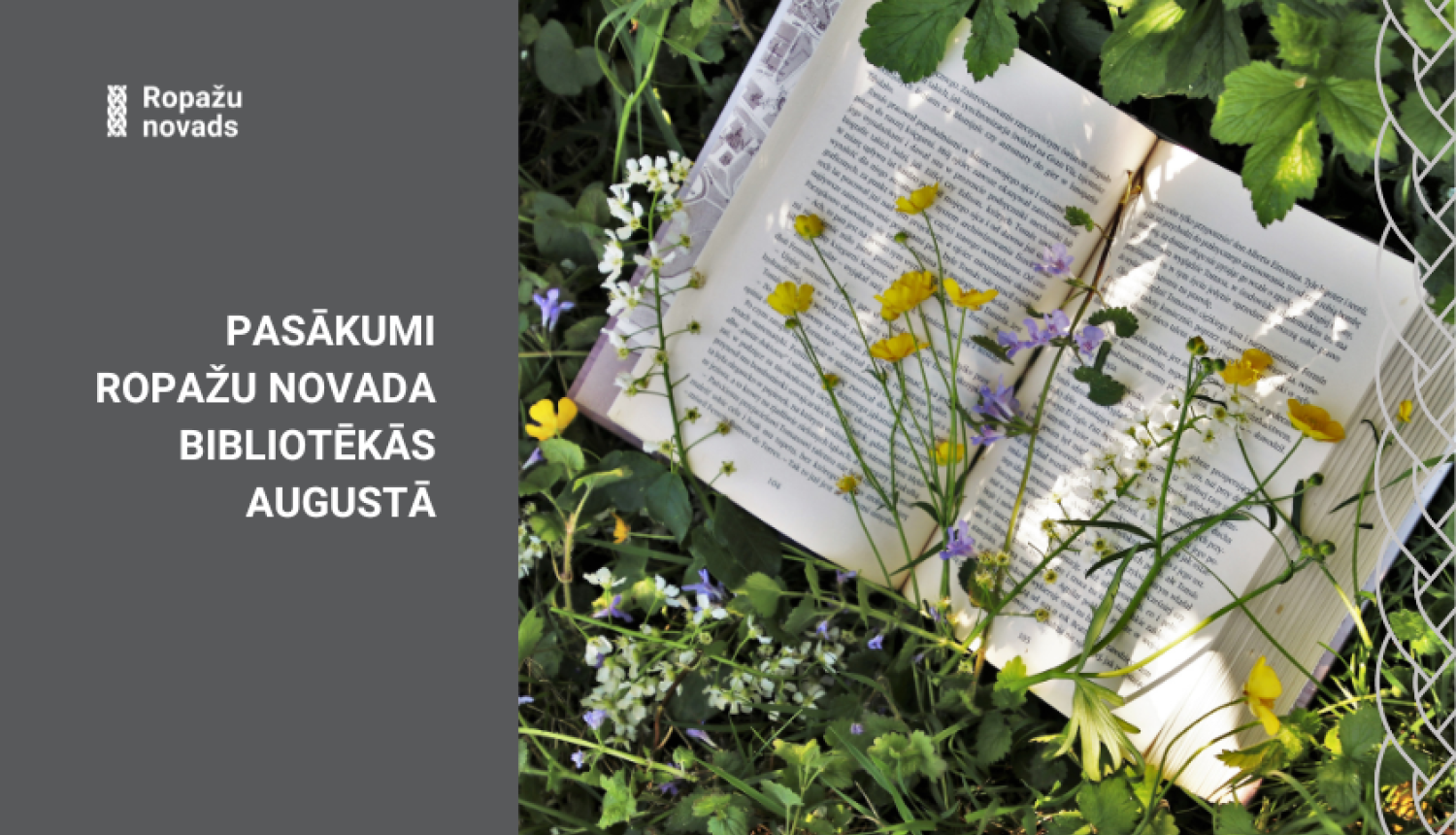 BIBLIOTĒKAS