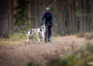 Foto: Egons Ansbergs