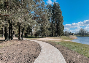 celiņš pie Ulbrokas ezera